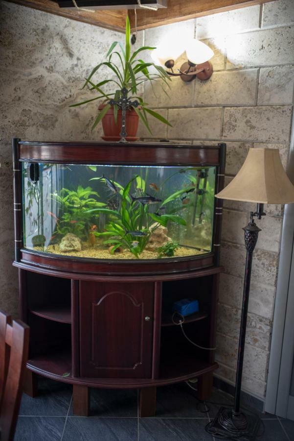 פרילפ Dionis Rooms & Apartments מראה חיצוני תמונה